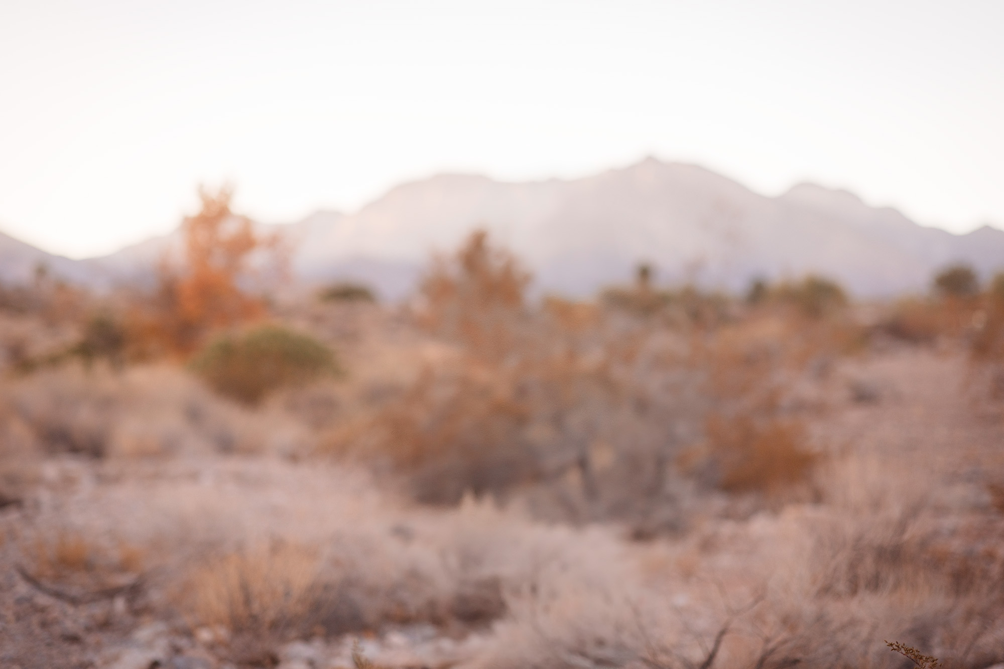 summerlin-las-vegas-family-photographer.jpg